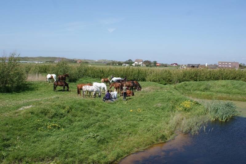 Reiten am Strand im Urlaub